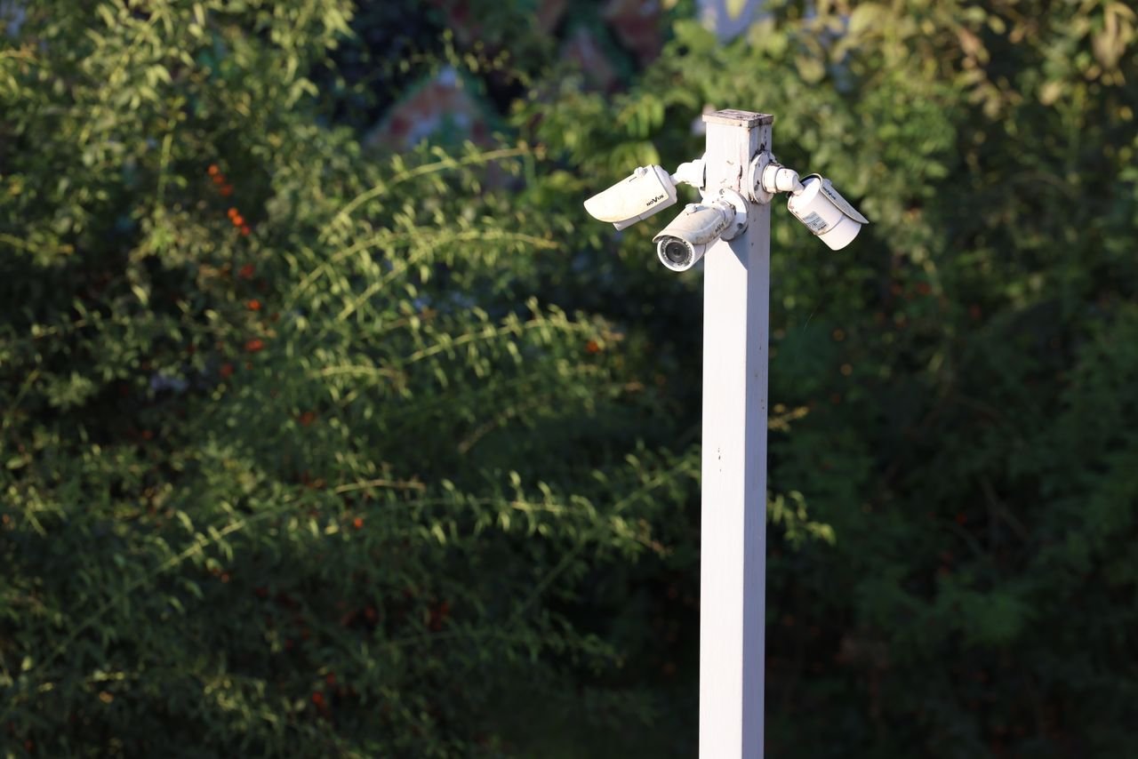 Services-01 Cluster of surveillance cameras mounted outdoors amidst green foliage for public safety.
